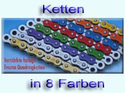 Blättert selbst im PDF-Katalog